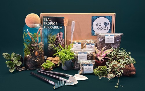 Full terrarium kit with - full,