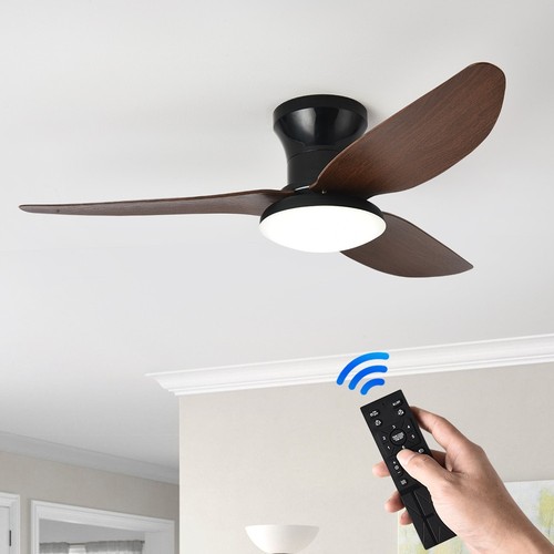 Modern ceiling fan - ceiling,