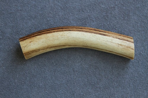 Real red deer antler section - red,