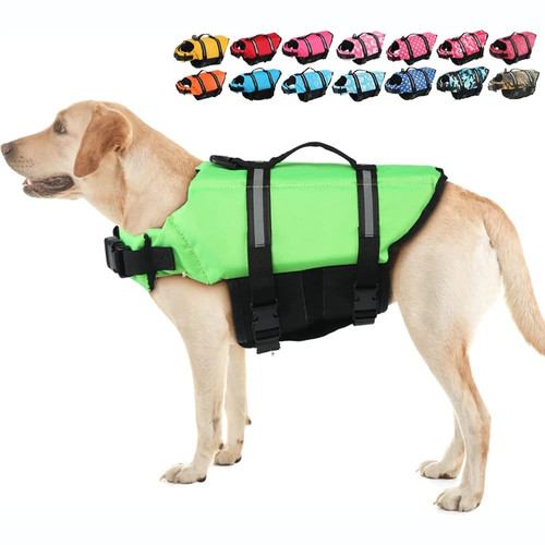 Dog life jacket safety - dog,