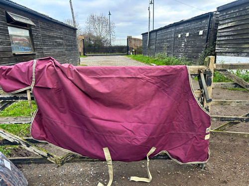 Amigo turnout rug - amigo, (uk)
