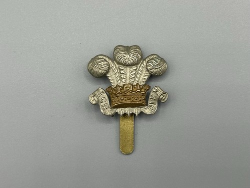 Ww1 ww2 royal wiltshire - ww1,