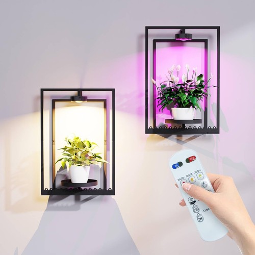 Frame wall plant stand indoor - stand,