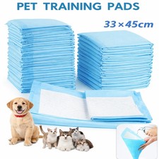 100 Large Puppy Training