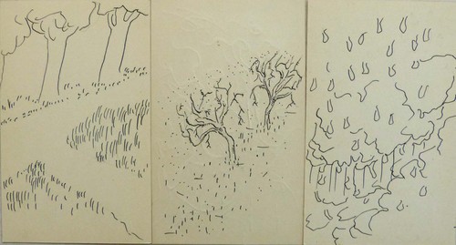 Sketches trees original - sketches, of