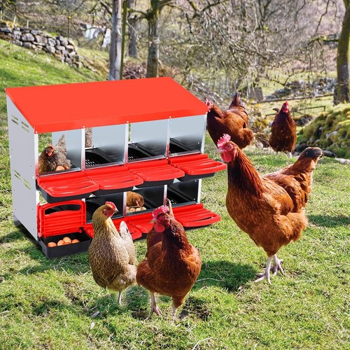 Holes chicken nesting box - 8-holes,