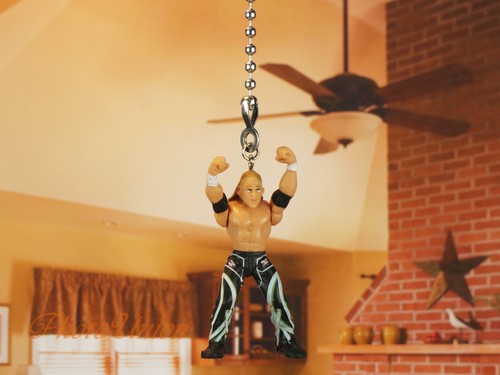 Wwe wrestling wrestler shawn - wrestling,