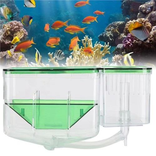 Aquarium fish breeding box - fish,