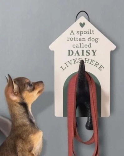 Dog lead hook - dog, lives