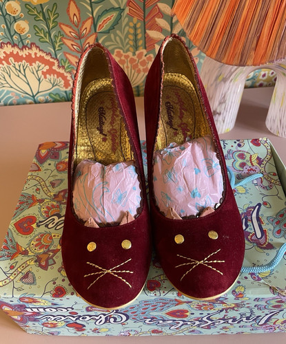 Irregular choice burmese - irregular, cat