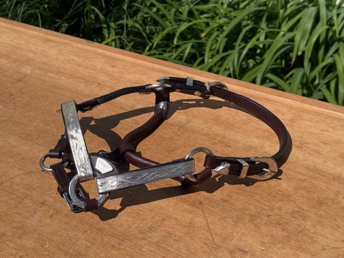 Miniature horse show halter - miniature,