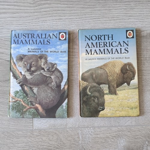 Vintage ladybird books - vintage,