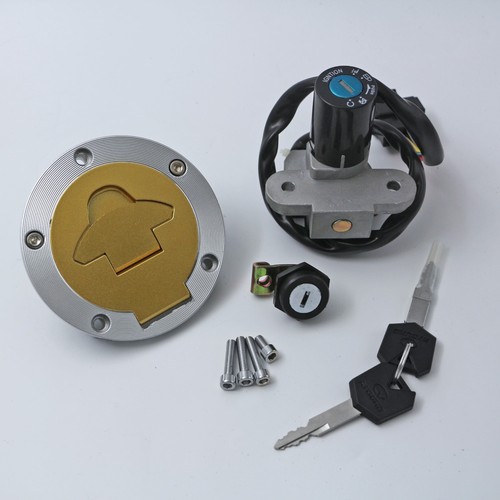 Ignition switch lock - ignition,