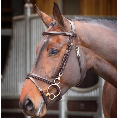 Shires velociti rapida - shires,