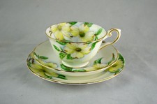 TUSCAN Bone China C9790 DOGWOOD x1 Trio Teacup & Saucer - Perfect