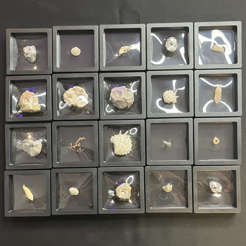 Gems rocks mineral fossil - rocks,