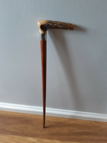 Stag horn handle malacca - stag,