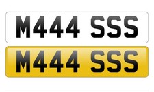 Mason Massimo Mas Cherished