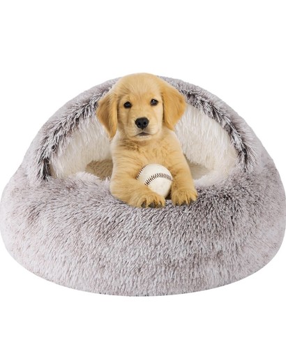 Pet dog cat - dog, plush