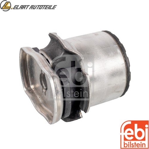 Bearing axle body - body, for