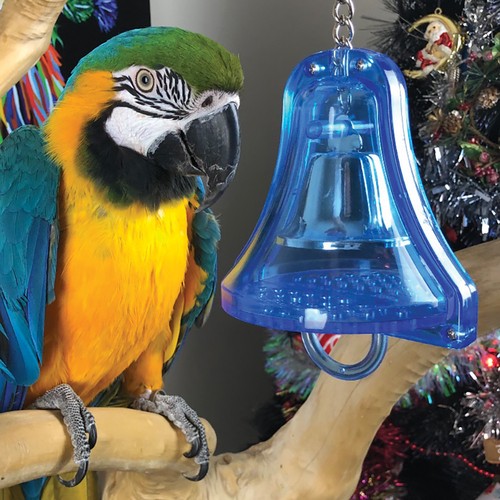 Double ringer parrot african - double,