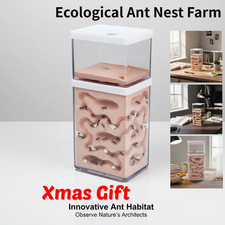 Insect Ant Moisture Nest with