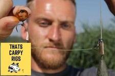 3 or 5 Tom Dove Style Spinner Rigs - Ronnie rig / Ready Made Carp Rigs/ korda