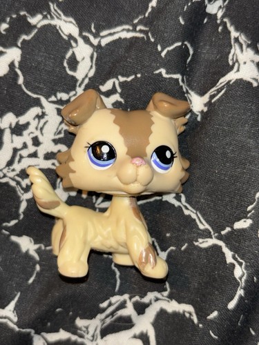 Littlest pet shop collie - pet,