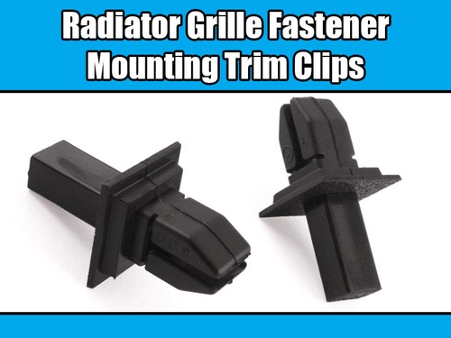 10x mounting trim rivet - 10x, clips