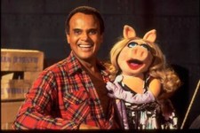 Singer & actor Harry Belafonte