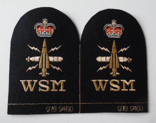 Chief petty officer - petty,