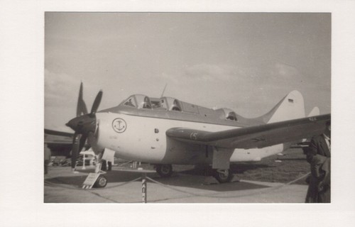 Westland wyvern navy - wyvern,