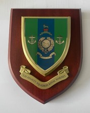 539Assault Squadron Royal