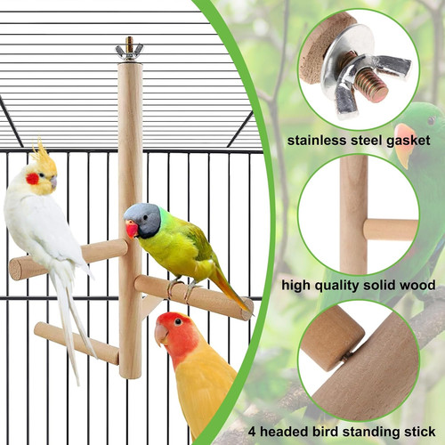 Budgie parrot perches bird - parrot, toy