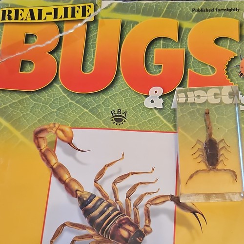 Resin real life bugs - bugs, insects