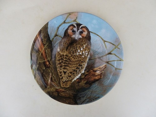 Collector plate in - plate, 3