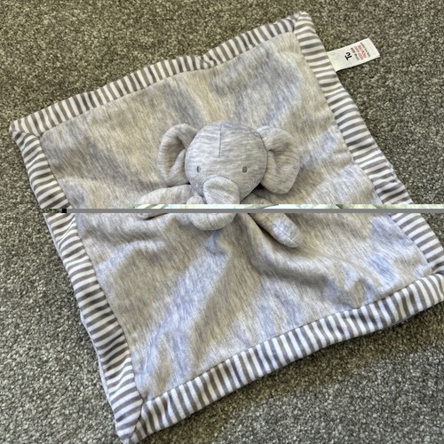 Baby grey and - white, elephant