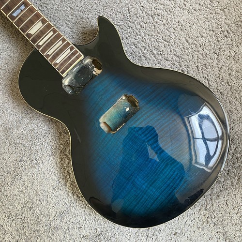 Standard custom diy guitar - standard,