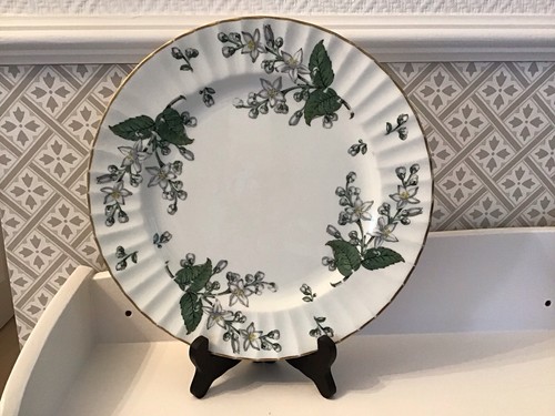Vintage royal worcester - royal, bone