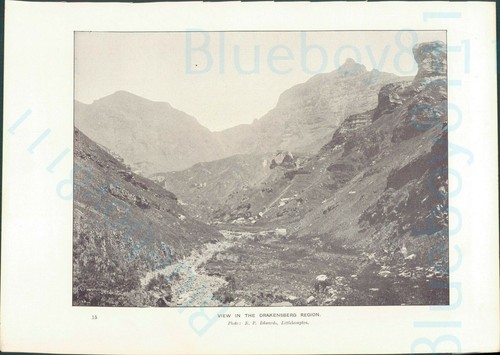 Edwardian print view - print,