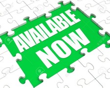 THE RED FURY / TWO BITS &