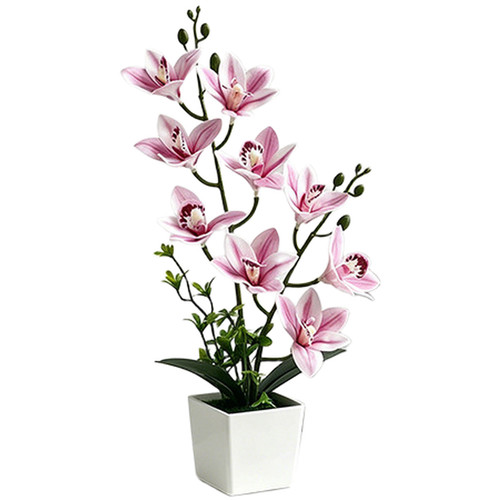 Realistic cymbidium orchid - cymbidium,