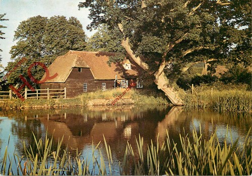 Picture postcard bateman - picture, postcard>>bateman's