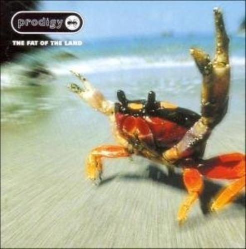 The prodigy fat - the,