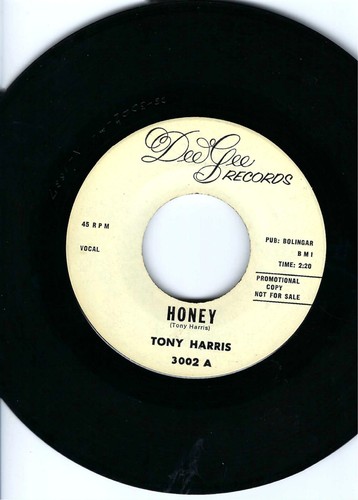 Garage sider tony - 2,