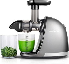 Masticating Juicer Machine -