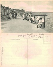 Vintage Postcard - Essex
