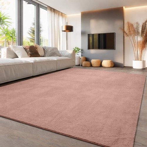 Fluffy rugs anti slip - rugs,