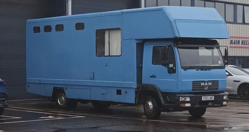Man horsebox - man,