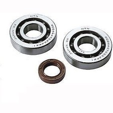 Kit 2 bearings + spi gasket